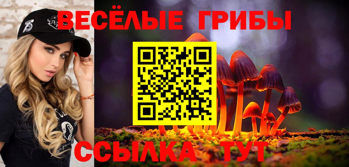 Звенигород  Псилоцибиновые грибы Psilocybe  Вход с VPN 